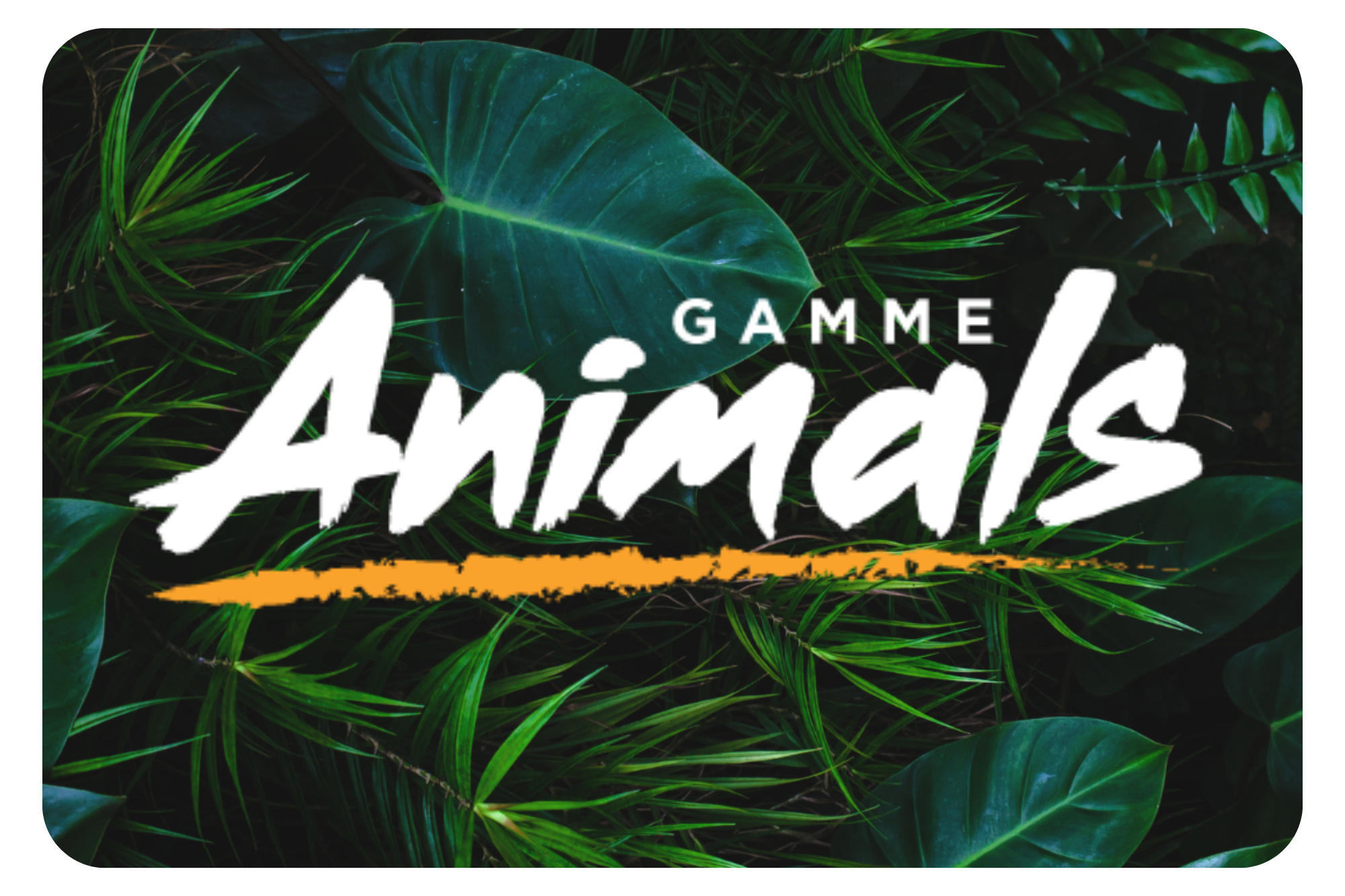 ANIMALS